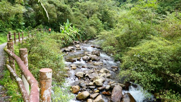 九寮溪自然步道2826888