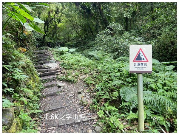 聖母峰、三角崙山 (抹茶山) 連走2802200