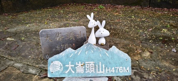2026/06/13_大崙頭尾親山步道3075164