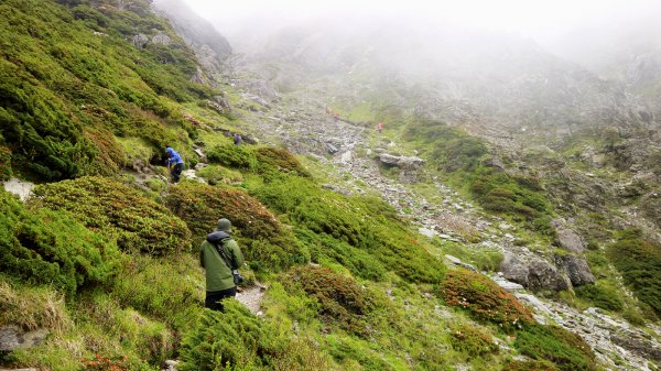 我們與奇萊主山的距離618009