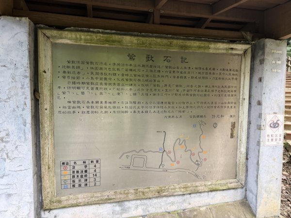 [微笑山線_第二段] 2026_0725 大棟山系_百年大榕樹3101580