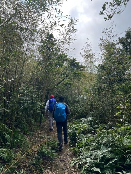 2025-01232淡蘭古道北二段(燦光寮古道到澳底)2696705