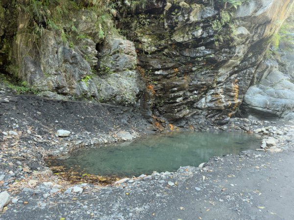 20250130 北港溪峽谷步道2702933