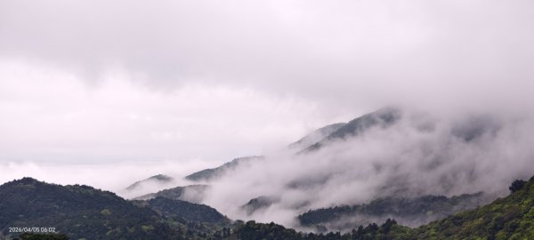 陽明山追雲趣 #天空之城 #石門嵩山梯田 #鳶尾花 #老梅綠石槽 4/5-63030181