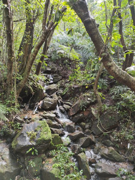 大崙頭尾山2872670