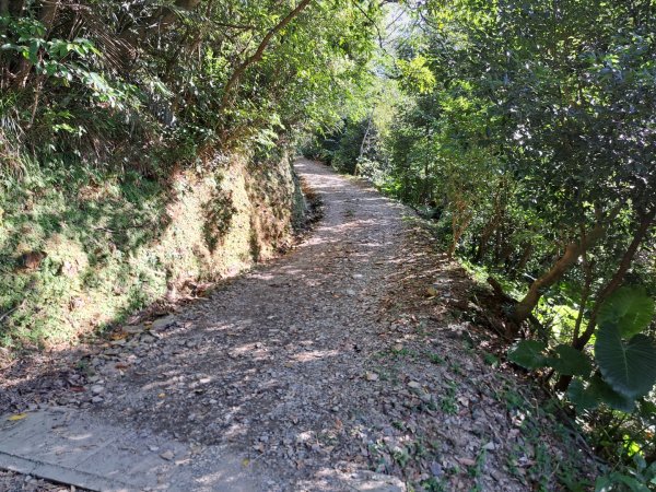 宜蘭七星嶺，松羅，見晴懷古步道3136186