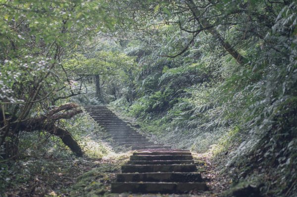 雨鞋登山初體驗-大屯山南峰、大屯山西峰連走1647935