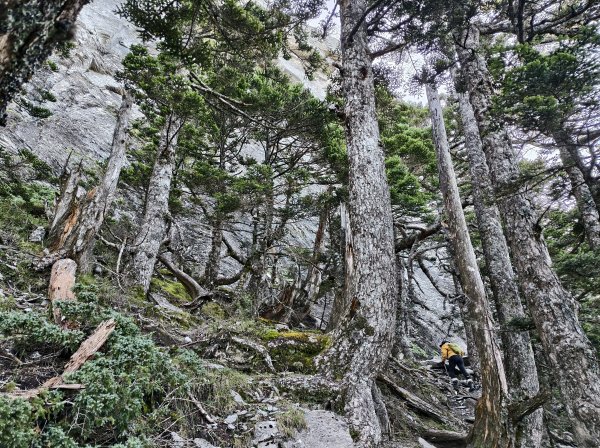 北一段(08/14)陶塞峰 2025_0906~132886950