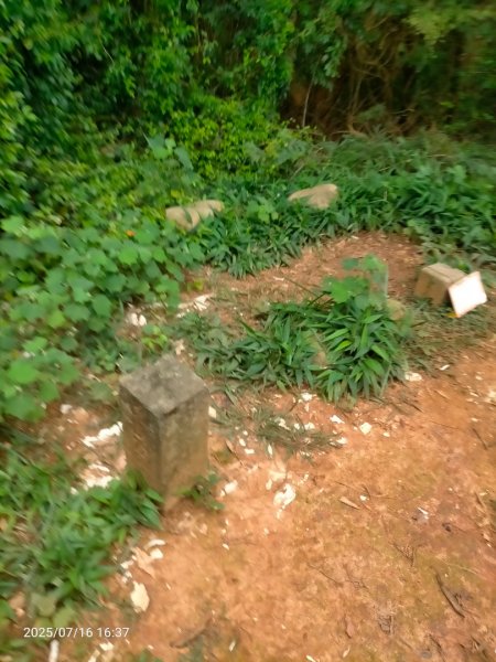 皮皮:三段崎古道2838666