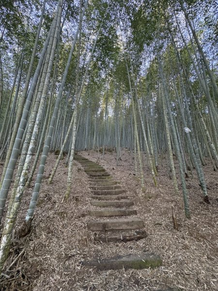 20251221嘉南雲峰、石壁山登山步道2968079