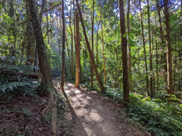 馬那邦山細道邦山1548144