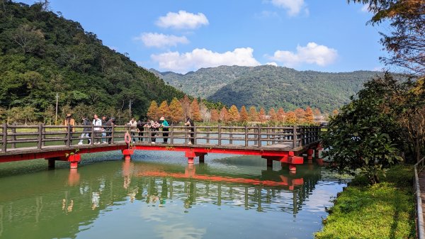 望龍埤,鎮頭山,蜊埤湖2391869