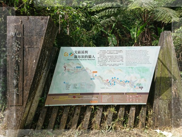 步道巡訪員 l 九寮溪自然步道６月巡訪日誌1001571