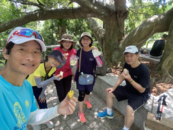 《夏日大坑同行記｜10號步道登稜線，與家人感受山風與人情味》2926356