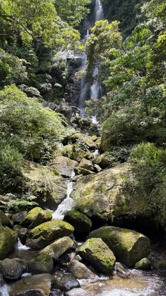 戲水（鴛鴦2786733