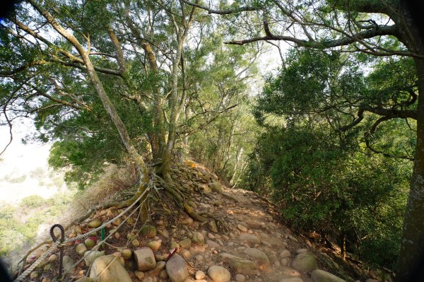 苗栗 三義 火炎山、南火炎山3020876