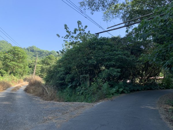 20251122高雄竹山口山2945302