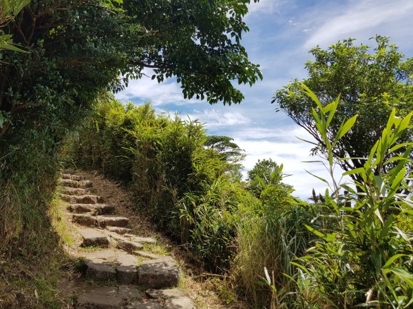 2020.08.18 北投-七星山主峰1071809