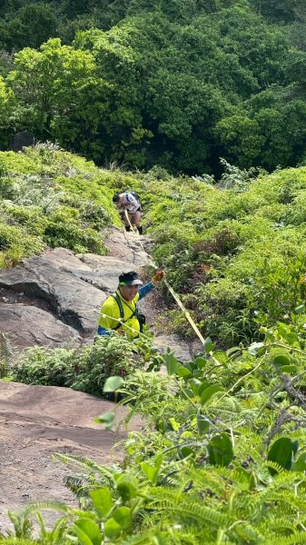 南雅安檢所-南子吝-小錐麓-保羅池-台糖-明隧道-南雅安檢所2894175