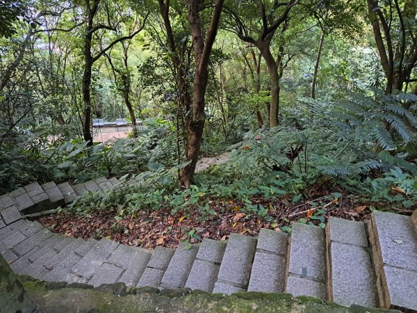 台北象山親山步道3116063