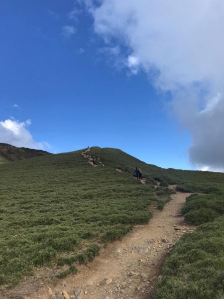 高山上的草原359340