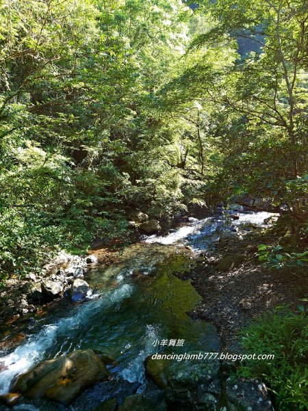 【宜蘭】九寮溪自然步道：炎夏中的沁涼1818435