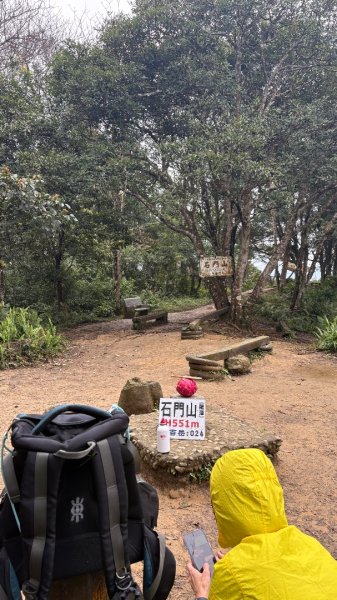 太、清、石2994649