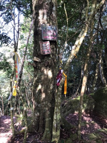 南庄龍❤️、向天湖山、光天高山、大龍山、小東河山2333955