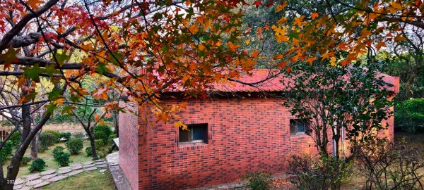 #花卉試驗中心 #永公路500巷 #平菁街42巷 #原住民公園 #士林官邸 1/42980403