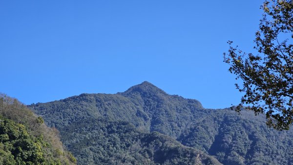 橫龍山 橫龍山北峰 騰龍山 龍年爬龍山2423207