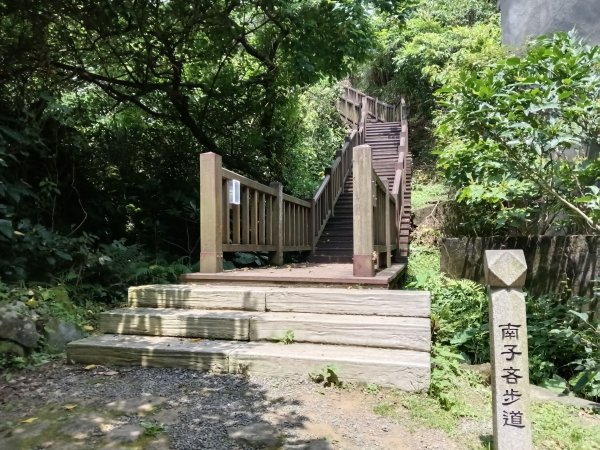 瑞芳區南子吝步道+南子吝稜+南子吝山+南子吝步道P字走2798454