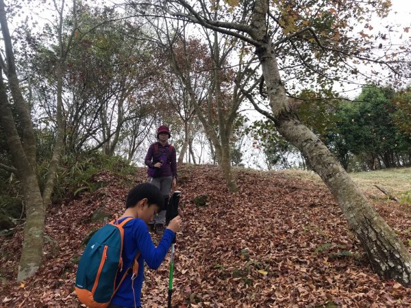 隱藏寧靜望美部落的望美山、望高寮、瓊山482364