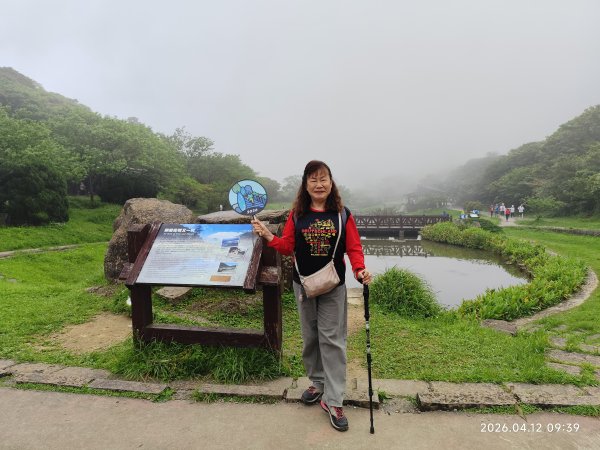 【臺北大縱走 1】二子坪到關渡、龍山寺、艋舺夜市3035510