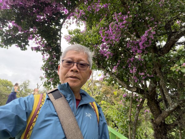 [紐約馬之行-69] 2025_1116 伊比拉布埃拉公園-下2955182