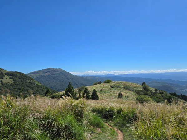 大屯主峰-連峰步道環形（小百岳）2904359