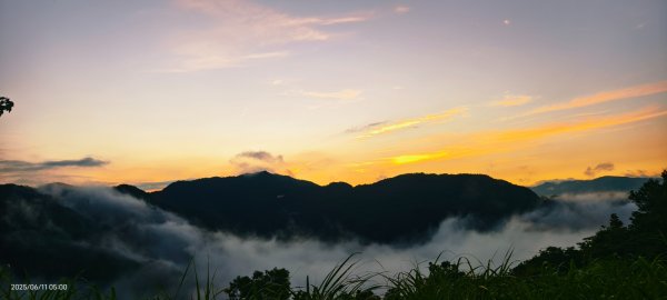跟著雲海達人山友追雲趣 #草莓月亮 #月圓雲海 #霞光 #日出雲海 #茶園 6/112808779