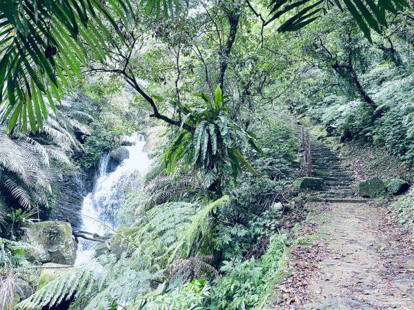 20250413 銀河洞越嶺步道-六分山-待老坑山-員潭子坑山2761187