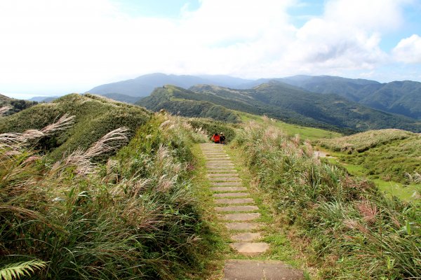 草嶺古道-桃源谷遍野芒花翻飛，飽覽絕美山海奇景！2335624