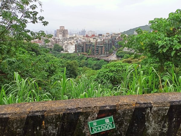 山清水麗的陽明山國家公園 (天母→猴洞→半嶺→湖山→陽峰古道→大屯瀑布→青春嶺→猴崁→竹子湖黑森林)1835181