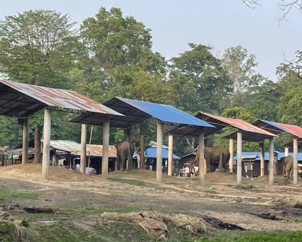 尼泊爾奇旺國家公園4天三夜2788931