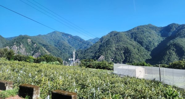 【中級山】五星級步道，谷關七雄馬崙山（八壯士進，斯可巴出）2744985