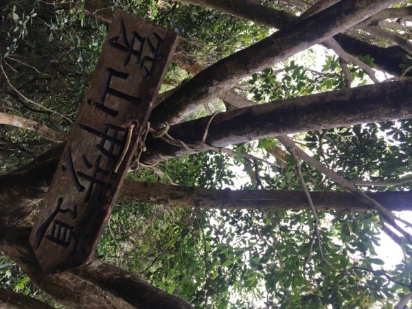 五酒桶山、南崁山2693338