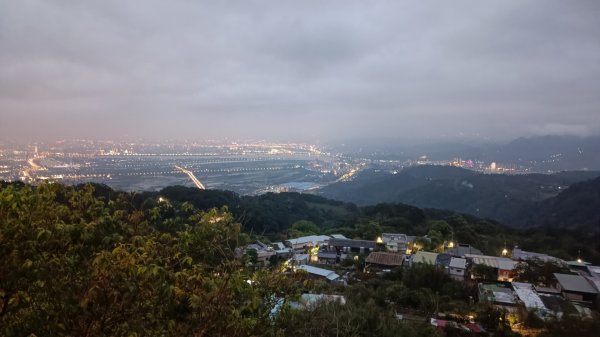 面天山-向天山2085187