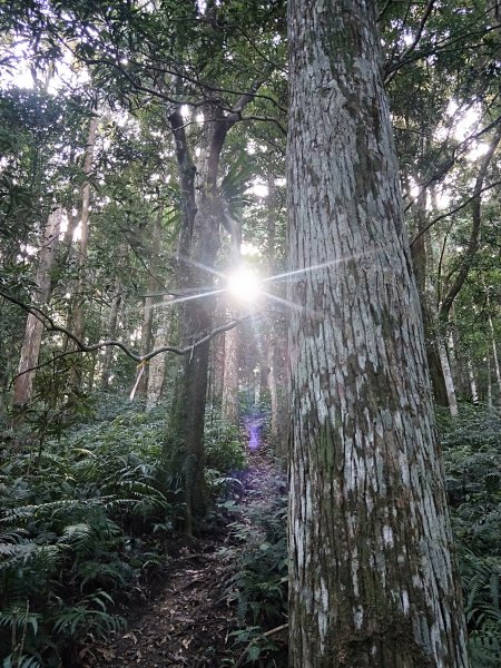 202009 組合山，雲森四瀑1105969