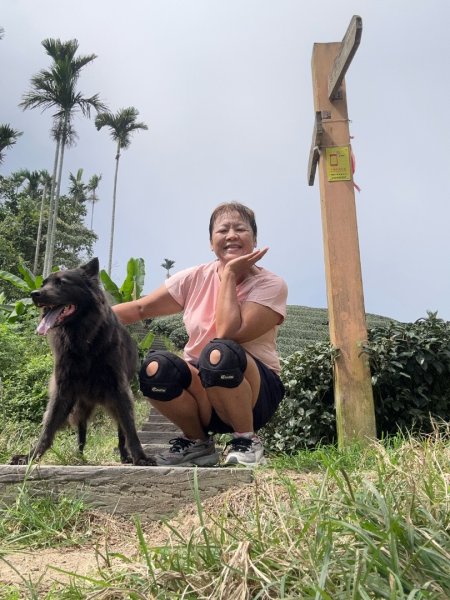 後棟仔山、挑筍古道、大尖山2920267