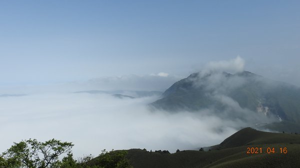 陽明山包場再見雲海04161350944