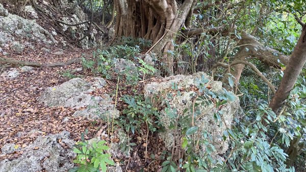 柴山石灰岩洞穴探險、泰國谷、一簾幽夢1578178