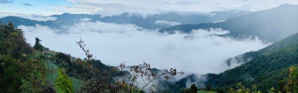 觀霧瀑布 賞鳥步道2926764