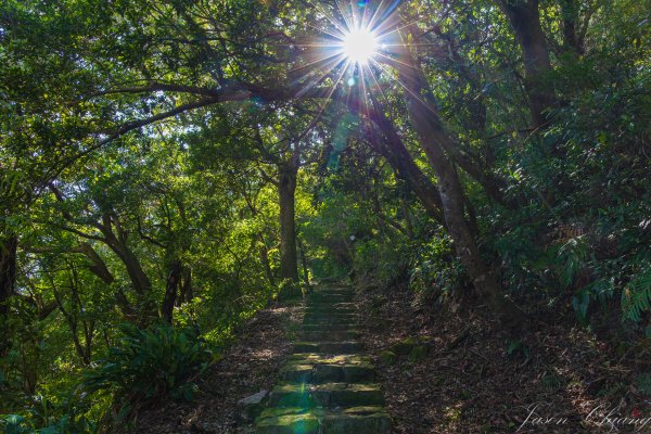 [台北]紗帽山2956585