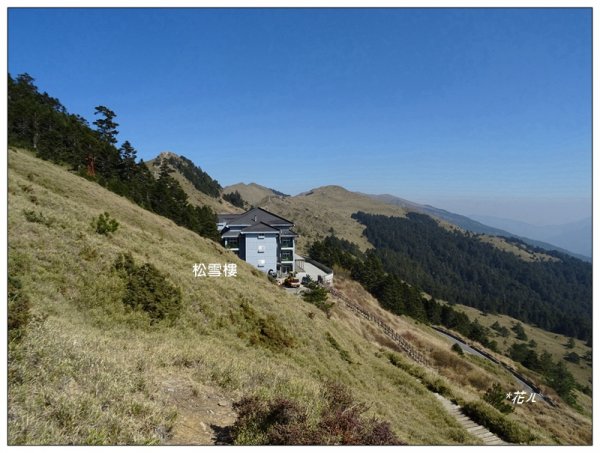 合歡山東峰1319730